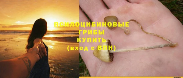 меф Гусиноозёрск