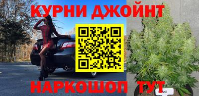 СК Донской
