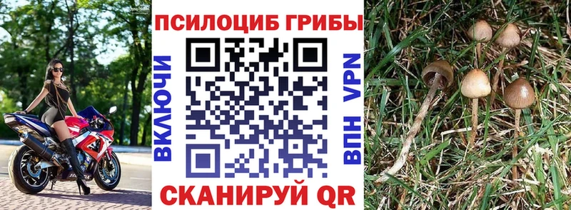 Галлюциногенные грибы ЛСД  Кумертау 