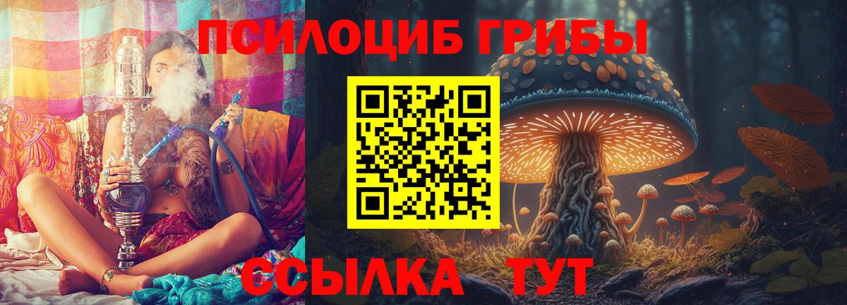Псилоцибиновые грибы Psilocybine cubensis Кумертау