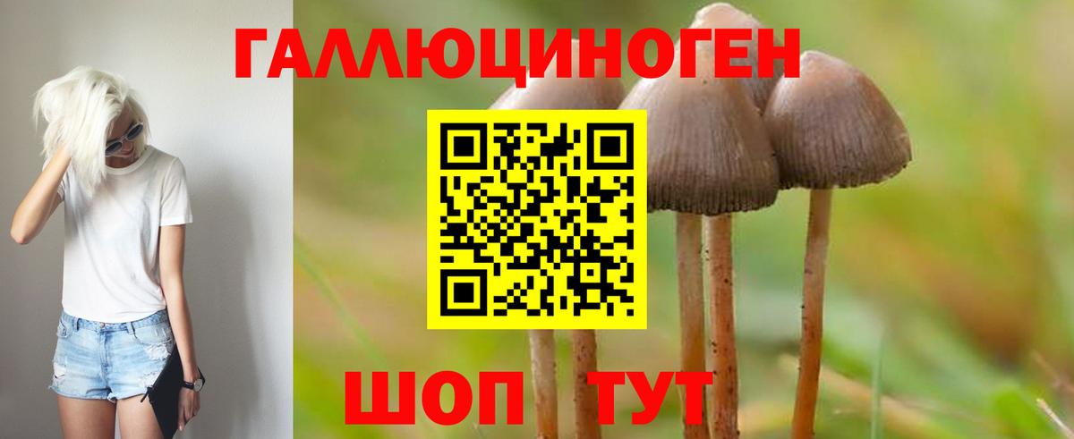 Кумертау  Псилоцибиновые грибы MAGIC MUSHROOMS  Вход с VPN  Галлюциногенные грибы Magic Shrooms 